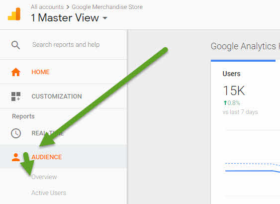 Analytics visitors overview